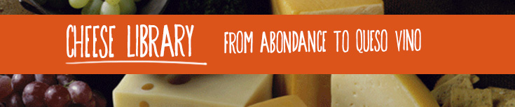  Cheese Library: From Abondance to Queso Vino