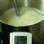 Digital thermometer measuring temperature of milk in pot
