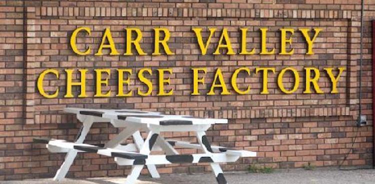 brick side of Carr Valley Cheese Factory with yellow lettering and cow colored picnic table