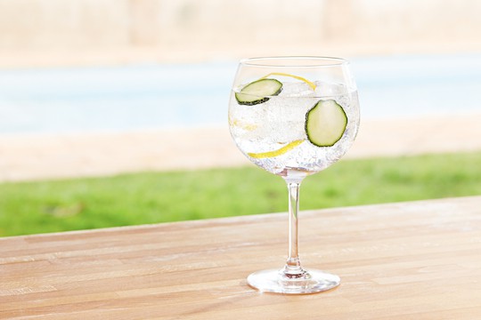 bowl glass with sparkling tonic, lemon, and cucumber on table outside