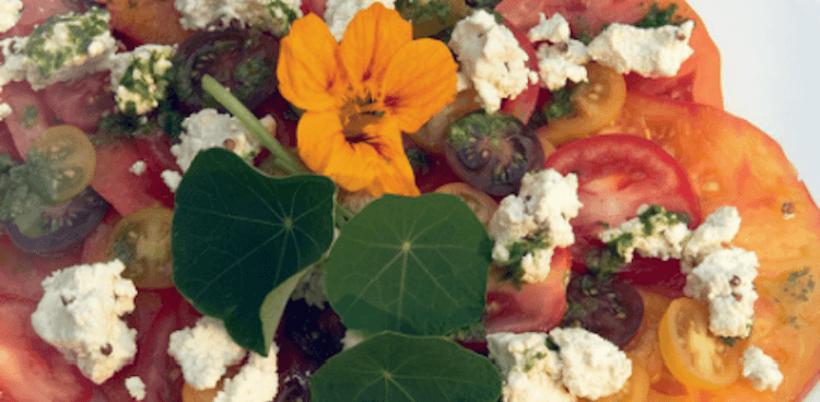 Thousand Tomato Salad from Home Made Summer by Yvette van Boven