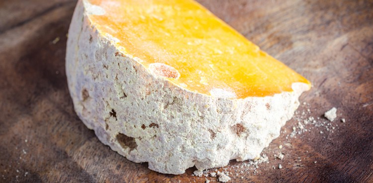 closeup of the rind of mimolette cheese
