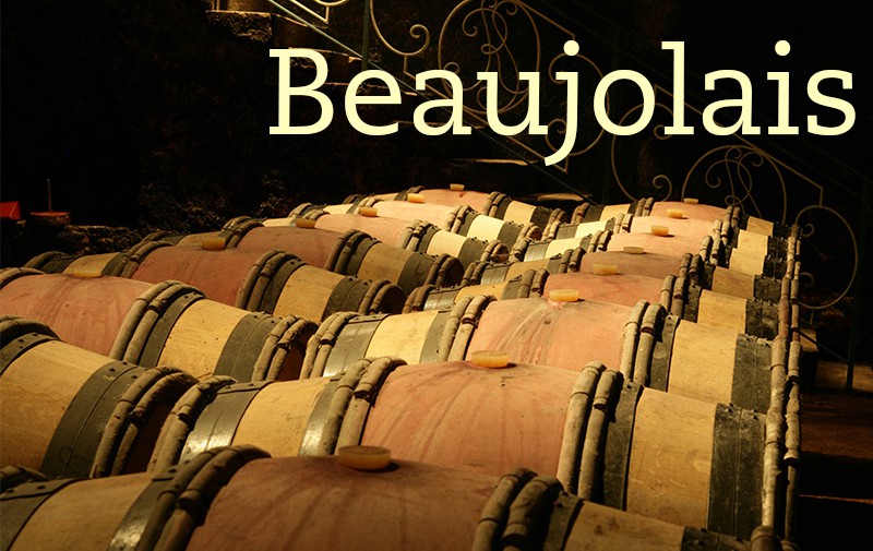 Racks of wooden wine barrels occupy the floor of an enormous cellar.