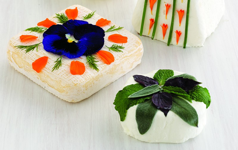 Several chunks of soft cheese pressed with herbs and flowers.