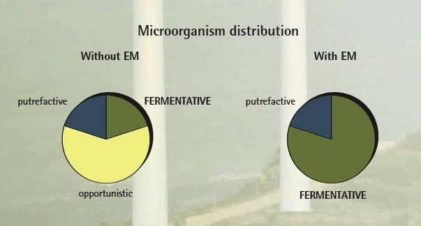 EM technology chart