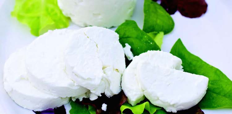 sliced fresh chevre cheese on a bed of lettuce