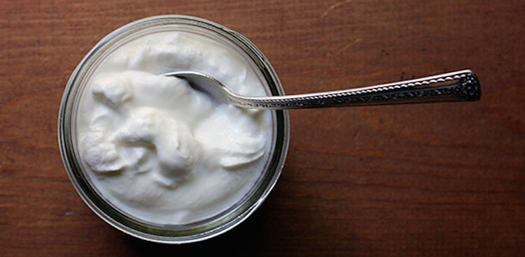 Greek yogurt in open jar with silver spoon in it