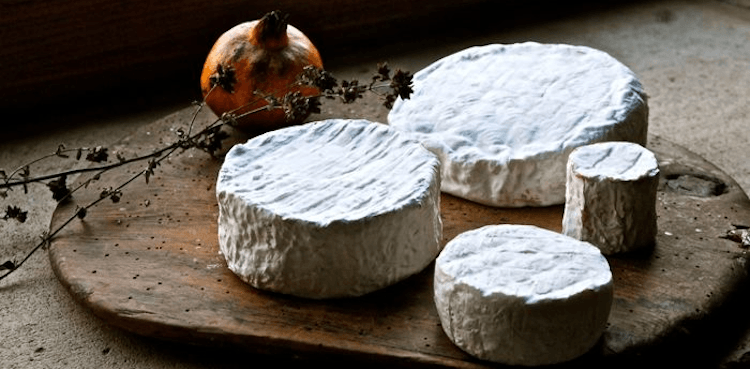 Santa gadea cheese