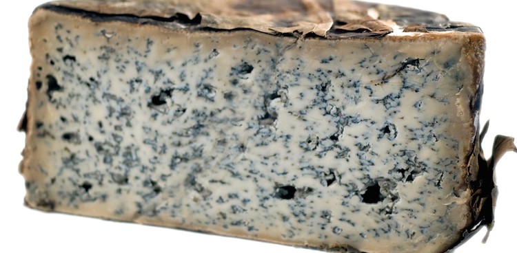 Cabrales cheese filled with blue mold and wrapped in sycamore leaves