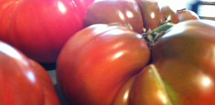 Closeup of heirloom tomatoes