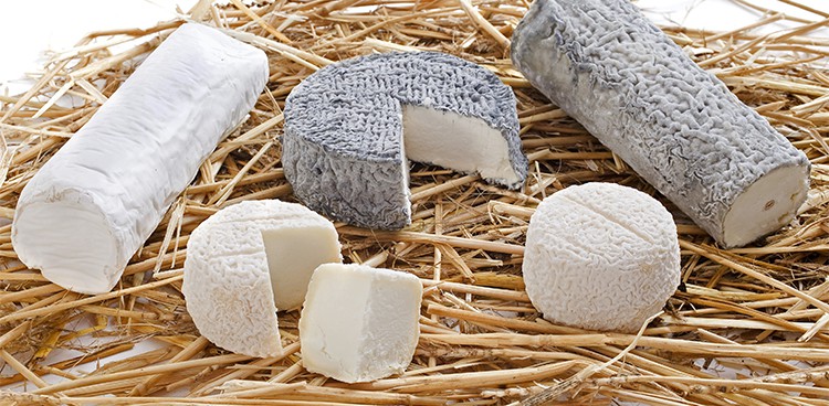 a variety of goat's milk cheeses arranged on fresh straw