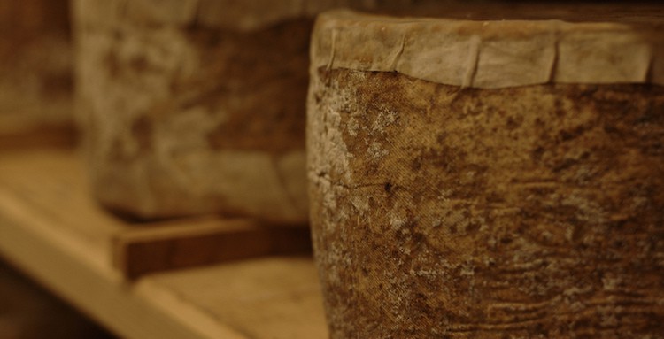 Two clothbound cheeses aging on wood