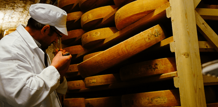 Claude inspecting a large wheel of comte