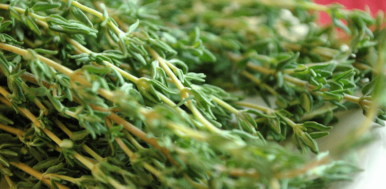 thyme sprigs