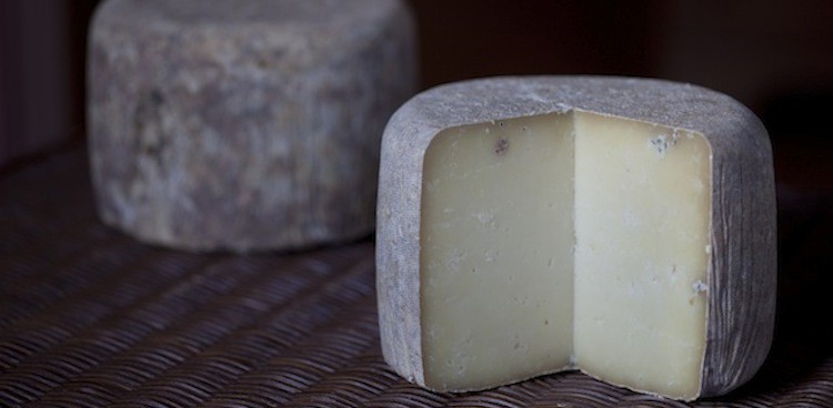 Battenkill Brebis cheese by 3-Corner Field Farm