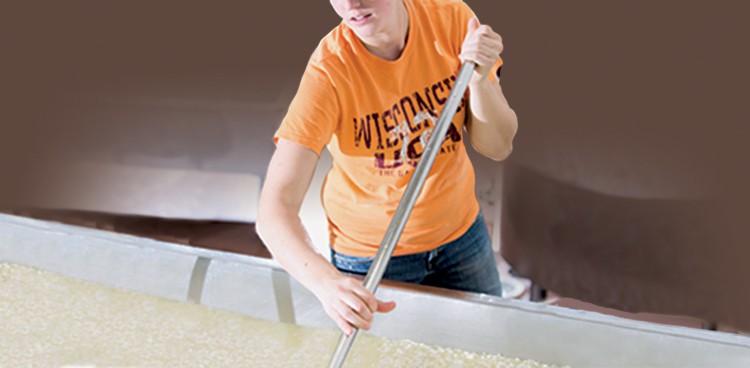 Josey Pukrop, a junior majoring in Animal Science, stirs cheese into curds in the Dairy Pilot Plant October 8, 2013.