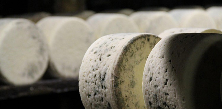 Wheels of Roquefort