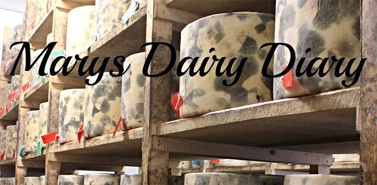 Mary Quicke's Dairy Diary: February