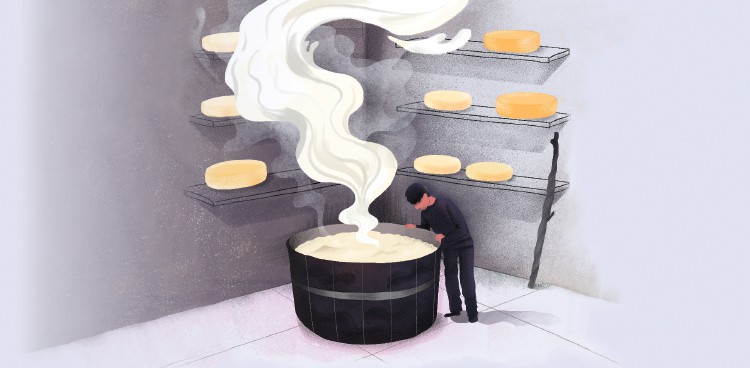 Illustration of a cheesemaker standing over a steaming vat in a cave with aging cheeses