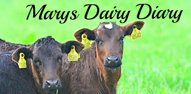 Mary's Dairy Diary: March 2015