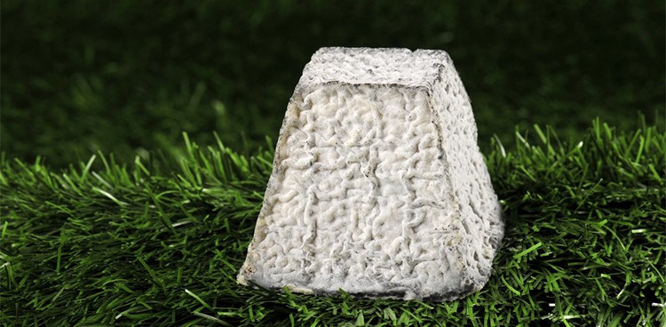 Bon Fromage: Valencay