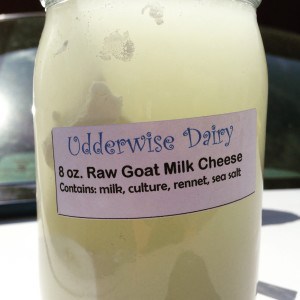 Udderwise Dairy Goats Milk Cheese Jar