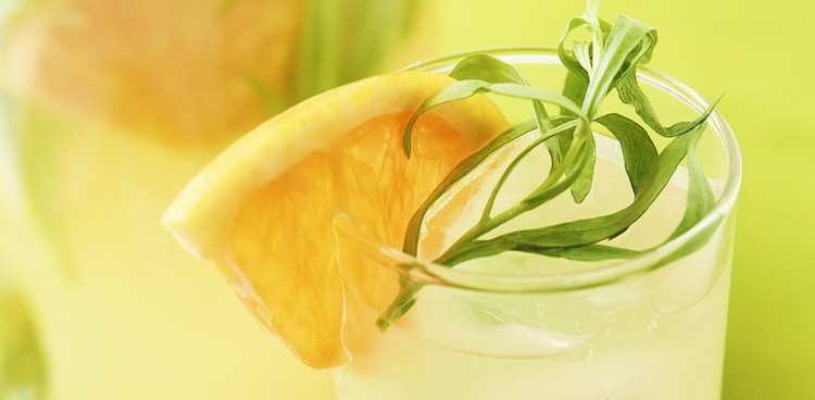 Grapefruit Tarragon Soda