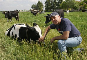 Mark Mcafee describes the taste of pasteurized milk as "dead and burned." Photo Credit: Mark McAfee, Founder of Organic Pastures Dairy by Take Back Your Health | CC