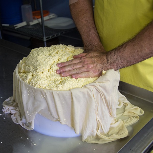 winnie shaping whey in mold