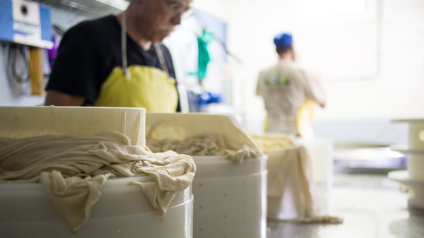 curds in the molds - parish hill 