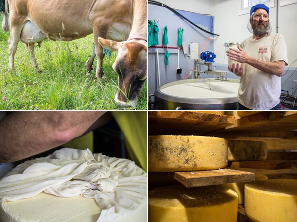 From top right: Abigal at Elm Lea Farm, Peter holding starter cultures, wheel of Idyll, aging wheels with Maine Sea Salt 