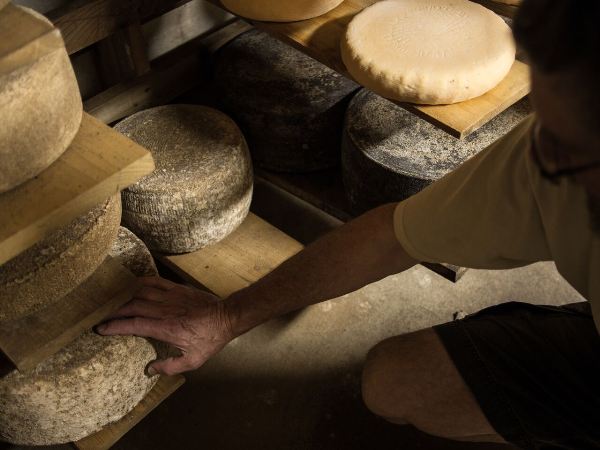 Peter and cheese wheels in cave - Parish Hill