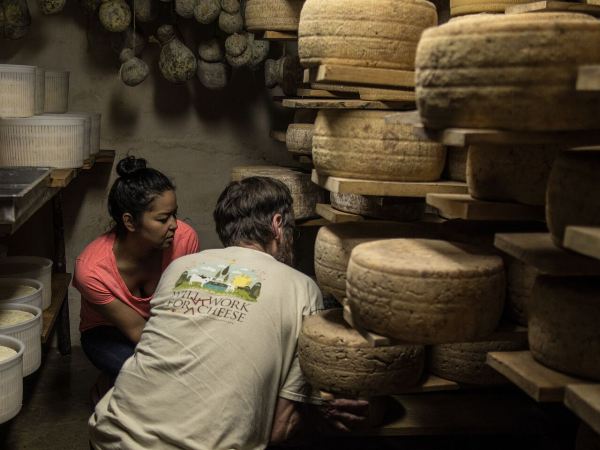 Peter looking at rinds in cave - Parish Hill