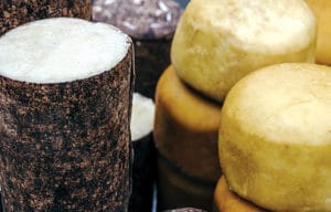 Cheeses at the market, including bark-wrapped brânză and wheels of caş. Photo credit: Florin Cnejevic/Shutterstock.com