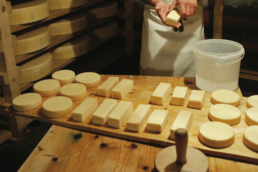Cheesemaker molding cheese