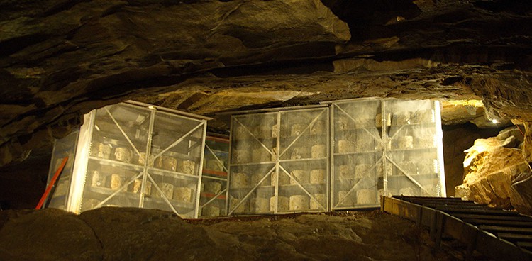 Cheese Cave in Cheddar England