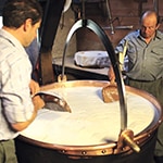 cheese made in copper vat