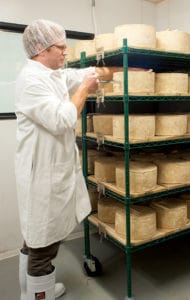 Director of the cave program and sensory analysis Vince Razionale tests the readiness of a wheel using a cheese trier