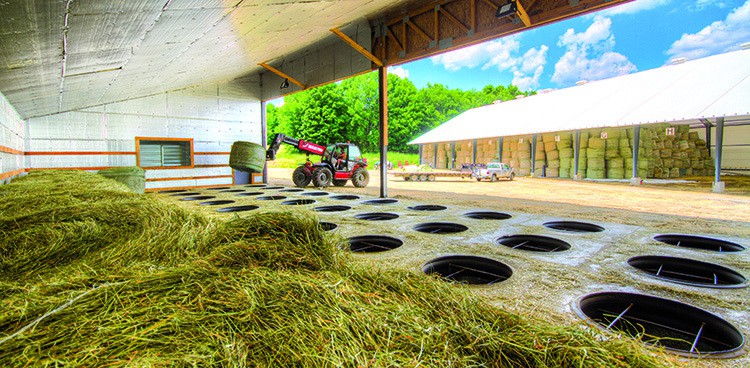 dry hay