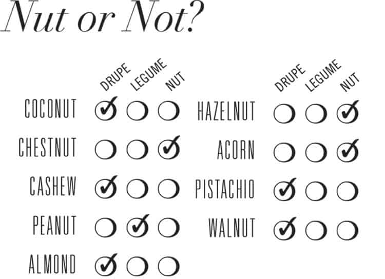 guide to nuts
