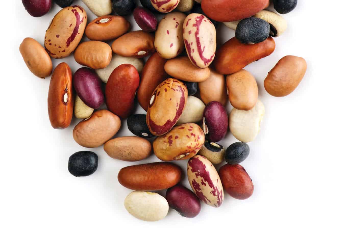 an assortment of beans in front of a plain white background