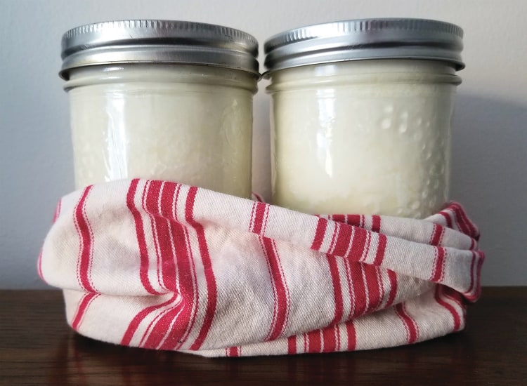 jars of homemade sour cream