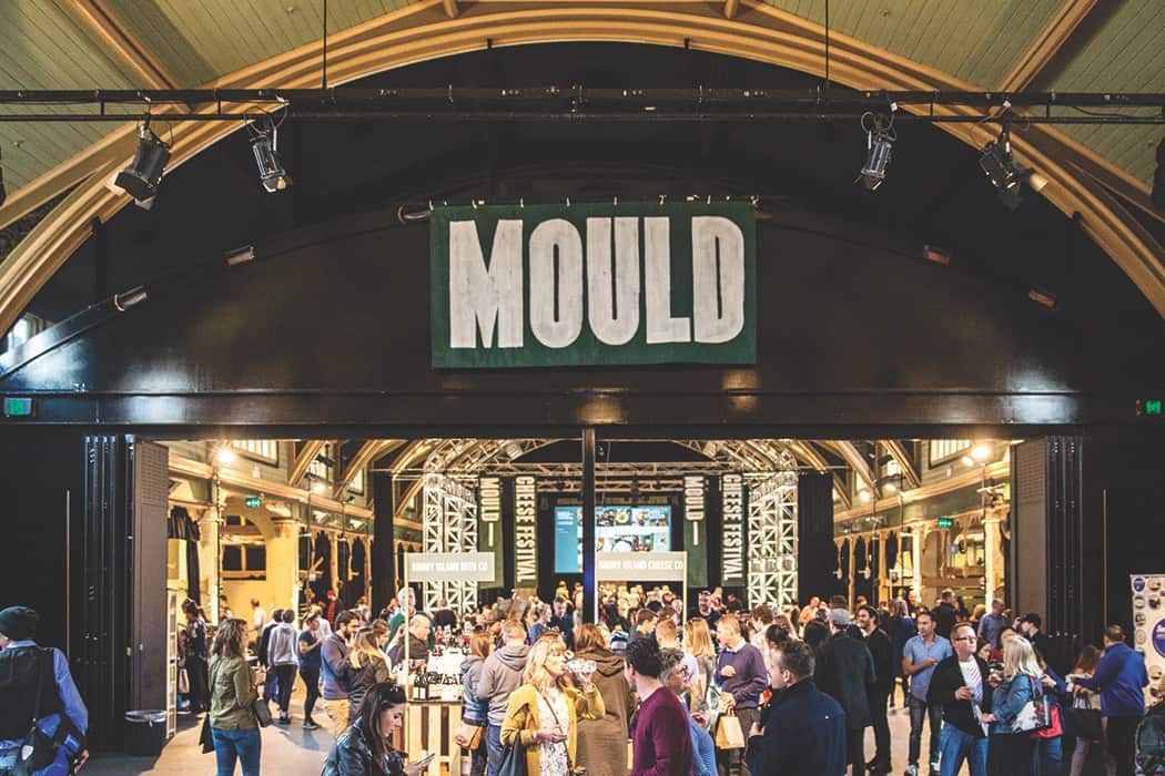 mould cheese festival