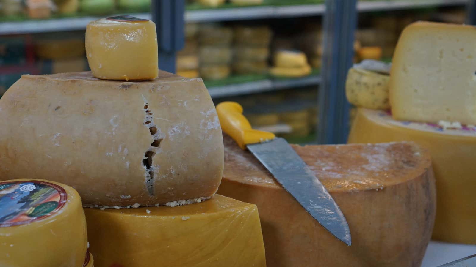 Volcanic Cheese of the Azores