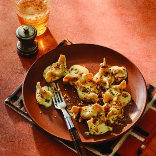 Pasta in a caramelized onion cheese sauce with breadcrumbs on top.