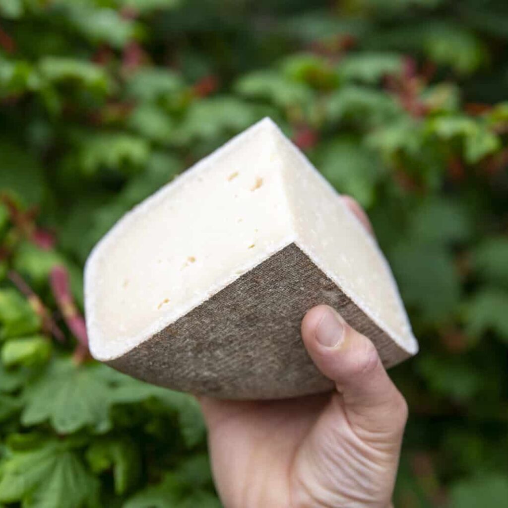 Wonderland cheese by Mountain Lodge Farm