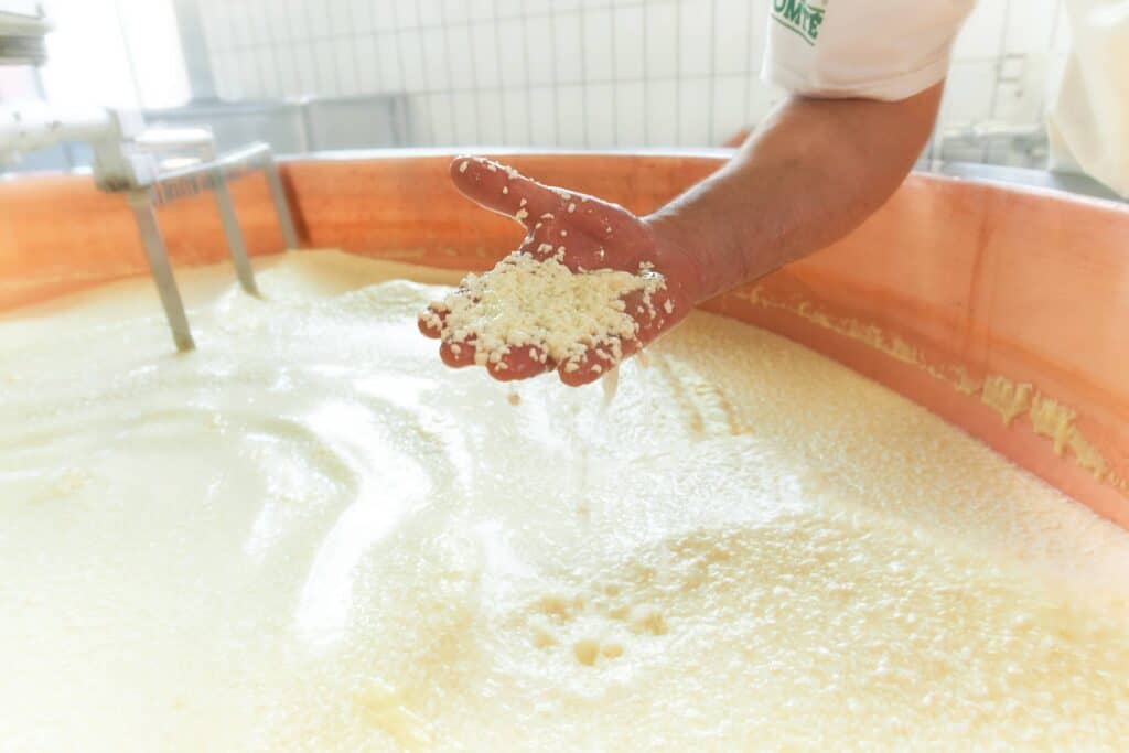 Comté Scholarships Invest in the Next Generation of Cheese Professionals